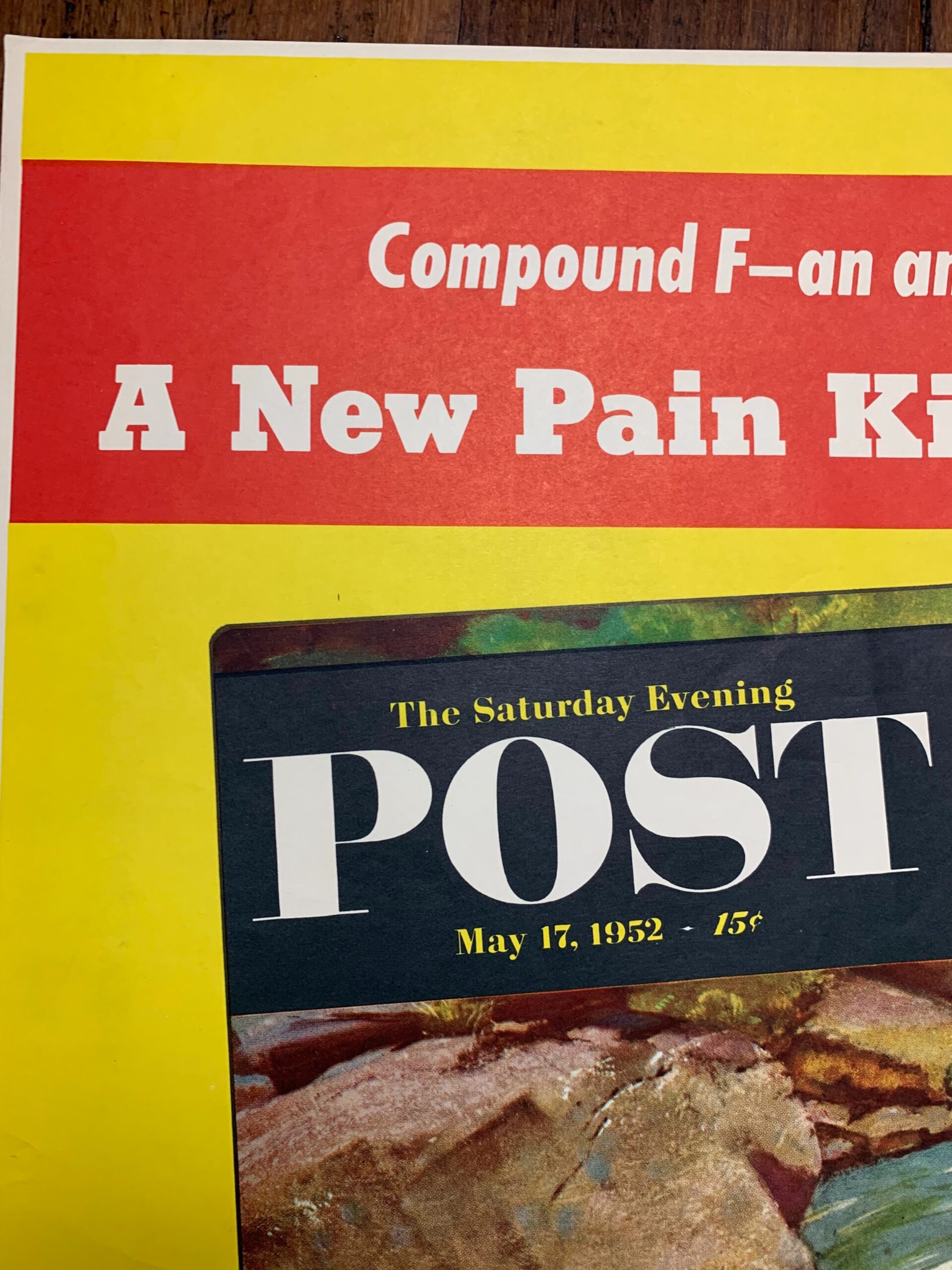 22x28 1952 Newstand Poster Saturday Evening Post - Art By Mead Schaeffer salmon Running Upstream - Image 2