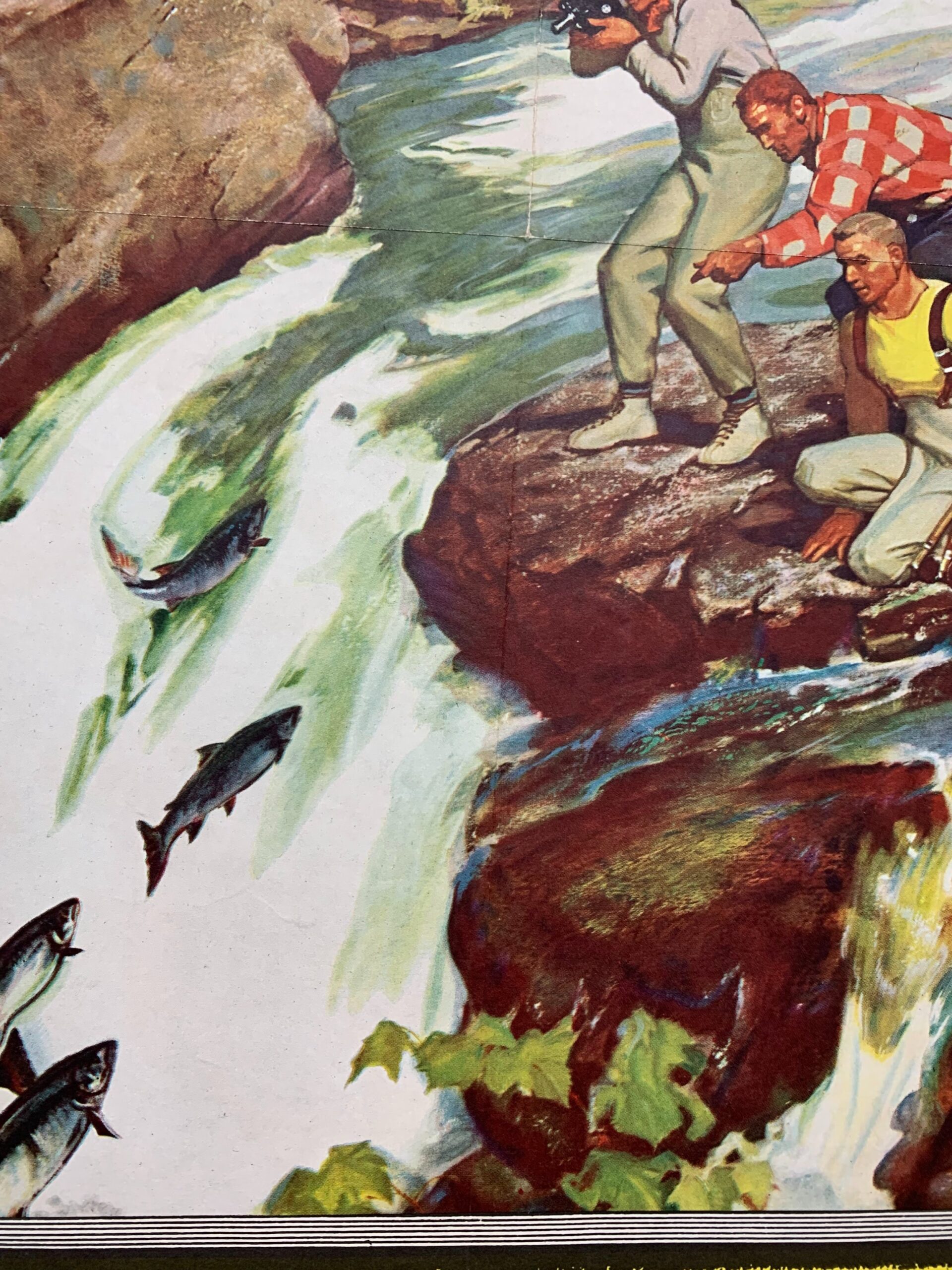 22x28 1952 Newstand Poster Saturday Evening Post - Art By Mead Schaeffer salmon Running Upstream - Image 4