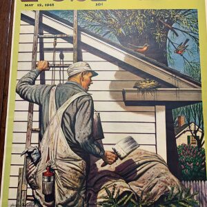 22x28 1945 Newstand Poster Saturday Evening Post - Art By Stevan Dohanos house Painter And Bird’s Nest