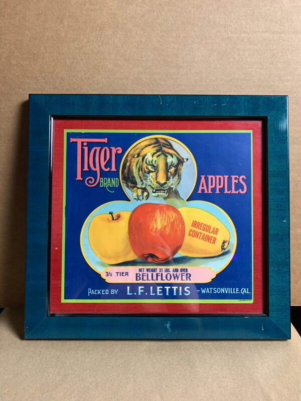 Tiger Apples (1930-50's) 13 x 14 US Avertising Labels x13