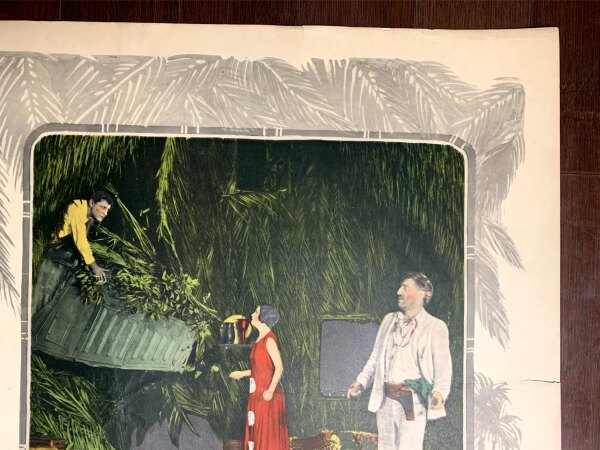 White Man - Alice Joyce (1924) US Half Sheet Movie Poster - Image 6