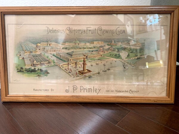 World's Columbia Exposition (1893) 12x25 US Tinted Photos x2 - Framed - Image 5
