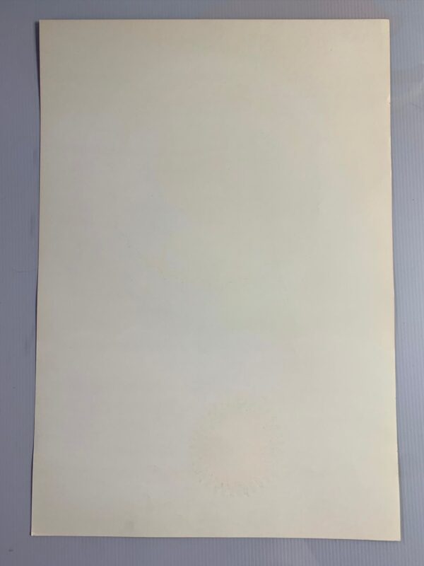 FD044-PO 1st Printing - Steve Miller Blues Band (1967) 14 1/16"X19 15/16" US Psychedelic Music Poster - Image 5