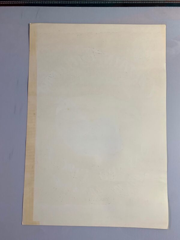 FD013-PO 2nd Printing - Captain Beefheart (1966) 14 3/8"X20" US Psychedelic Music Poster - Image 5