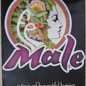 Vintage Advertising Poster - Female.a Time Of Beautiful Being - Cool Funky Art