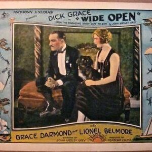 Wide Open '27 LC Couple With Dog ~ Daredevil ~ Aviation ~ Parachute Border Art!